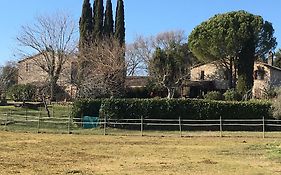 Podere Conte Racani